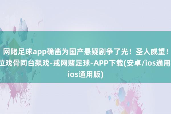 网赌足球app确凿为国产悬疑剧争了光！圣人威望！五位戏骨同台飙戏-戒网赌足球-APP下载(安卓/ios通用版)