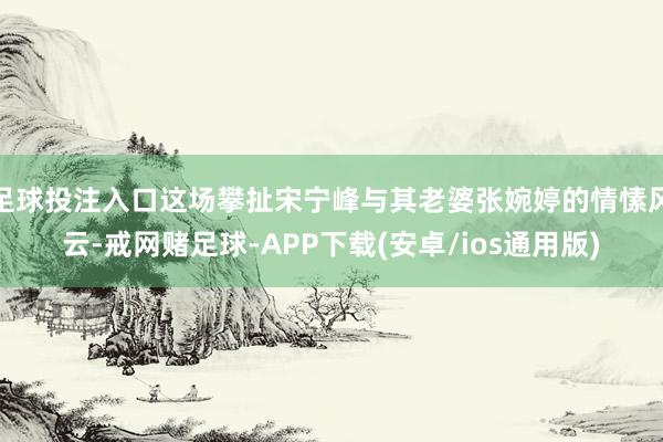 足球投注入口这场攀扯宋宁峰与其老婆张婉婷的情愫风云-戒网赌足球-APP下载(安卓/ios通用版)
