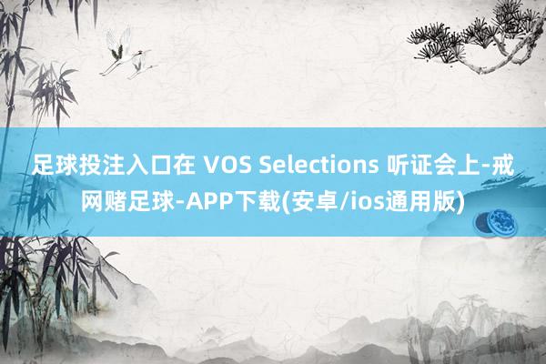 足球投注入口在 VOS Selections 听证会上-戒网赌足球-APP下载(安卓/ios通用版)
