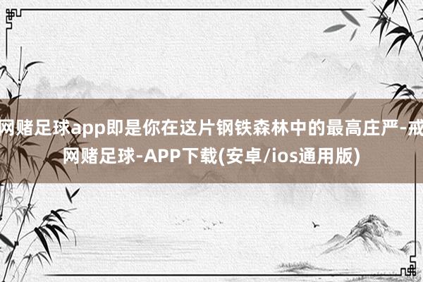 网赌足球app即是你在这片钢铁森林中的最高庄严-戒网赌足球-APP下载(安卓/ios通用版)