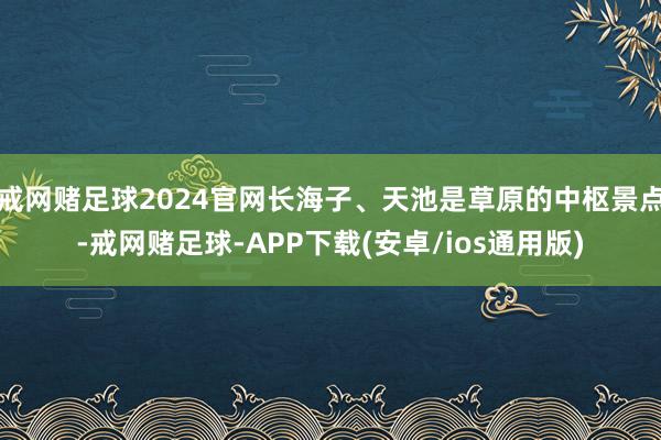 戒网赌足球2024官网长海子、天池是草原的中枢景点-戒网赌足球-APP下载(安卓/ios通用版)