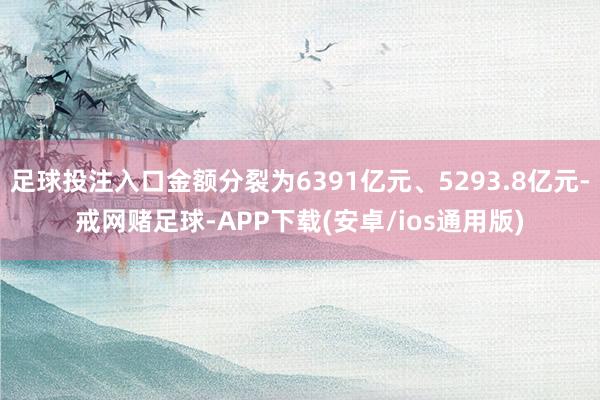 足球投注入口金额分裂为6391亿元、5293.8亿元-戒网赌足球-APP下载(安卓/ios通用版)