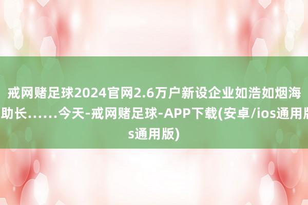 戒网赌足球2024官网2.6万户新设企业如浩如烟海般助长……今天-戒网赌足球-APP下载(安卓/ios通用版)