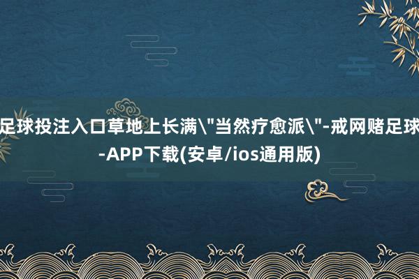 足球投注入口草地上长满