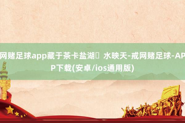 网赌足球app藏于茶卡盐湖✨水映天-戒网赌足球-APP下载(安卓/ios通用版)